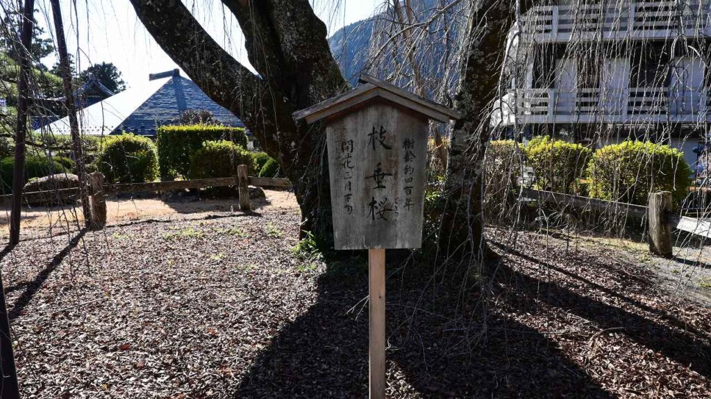 身延山久遠寺