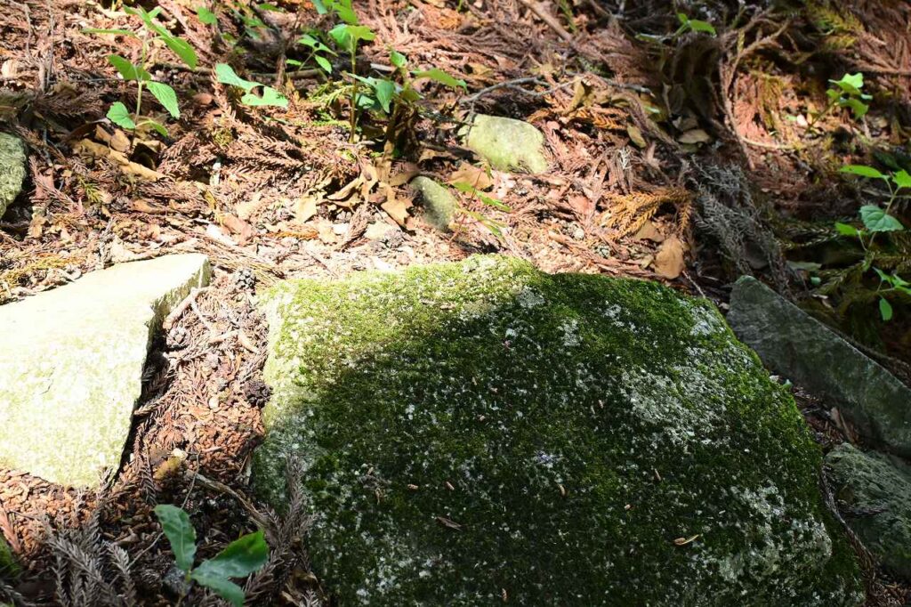 海ノ口上諏訪神社