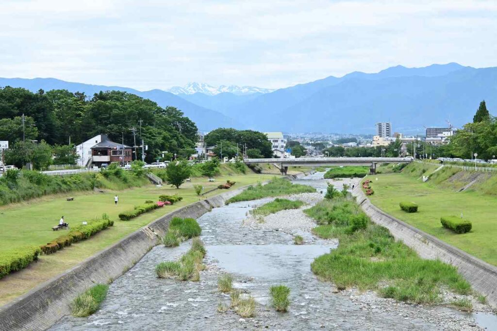 薄川沿いの土手