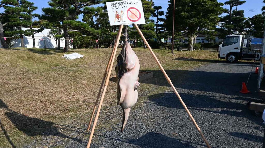 あんこう汁限定販売